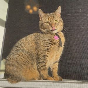 Meet your Posher, Leighla